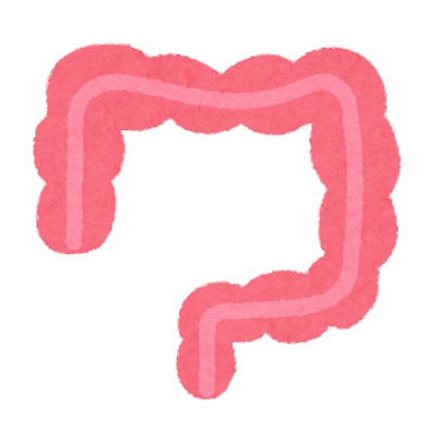 大腸がんと食物繊維