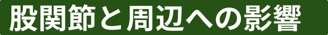 股関節と周辺への影響