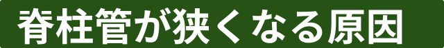 脊柱管が狭くなる原因