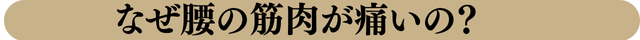骨格の歪みが痛みに変化